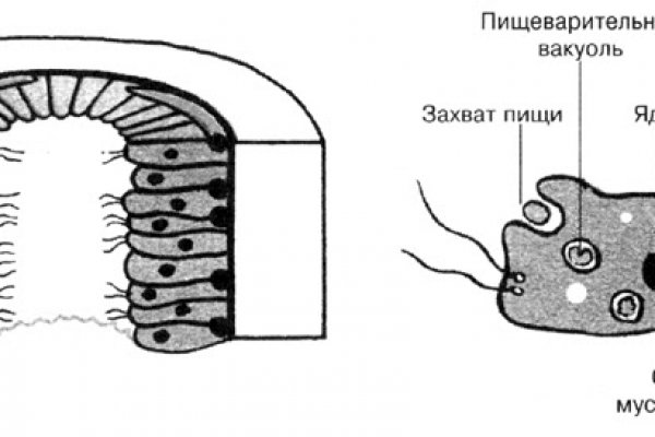 Мега ссылка на сайт маркет